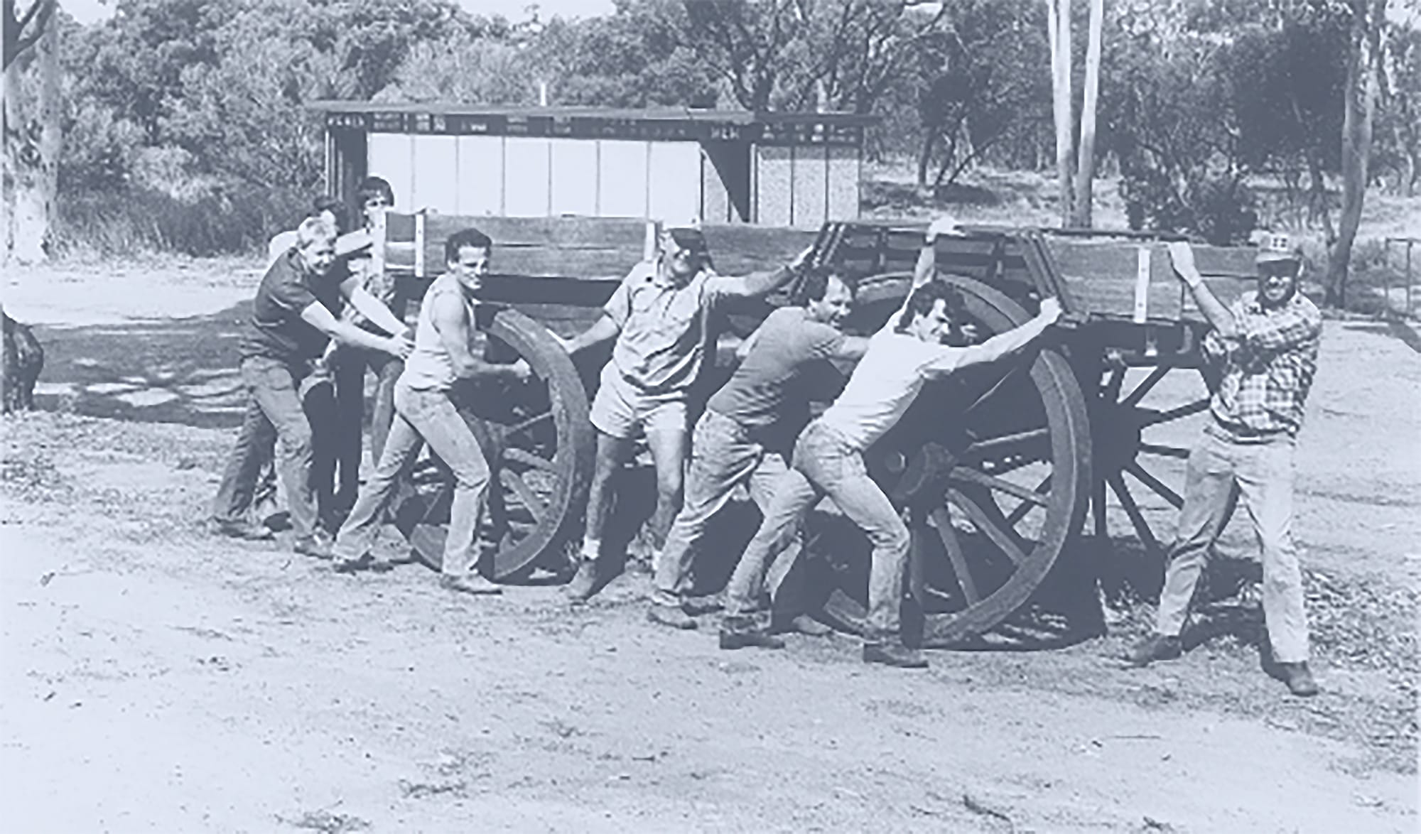 Fifty Years of Donald Apex