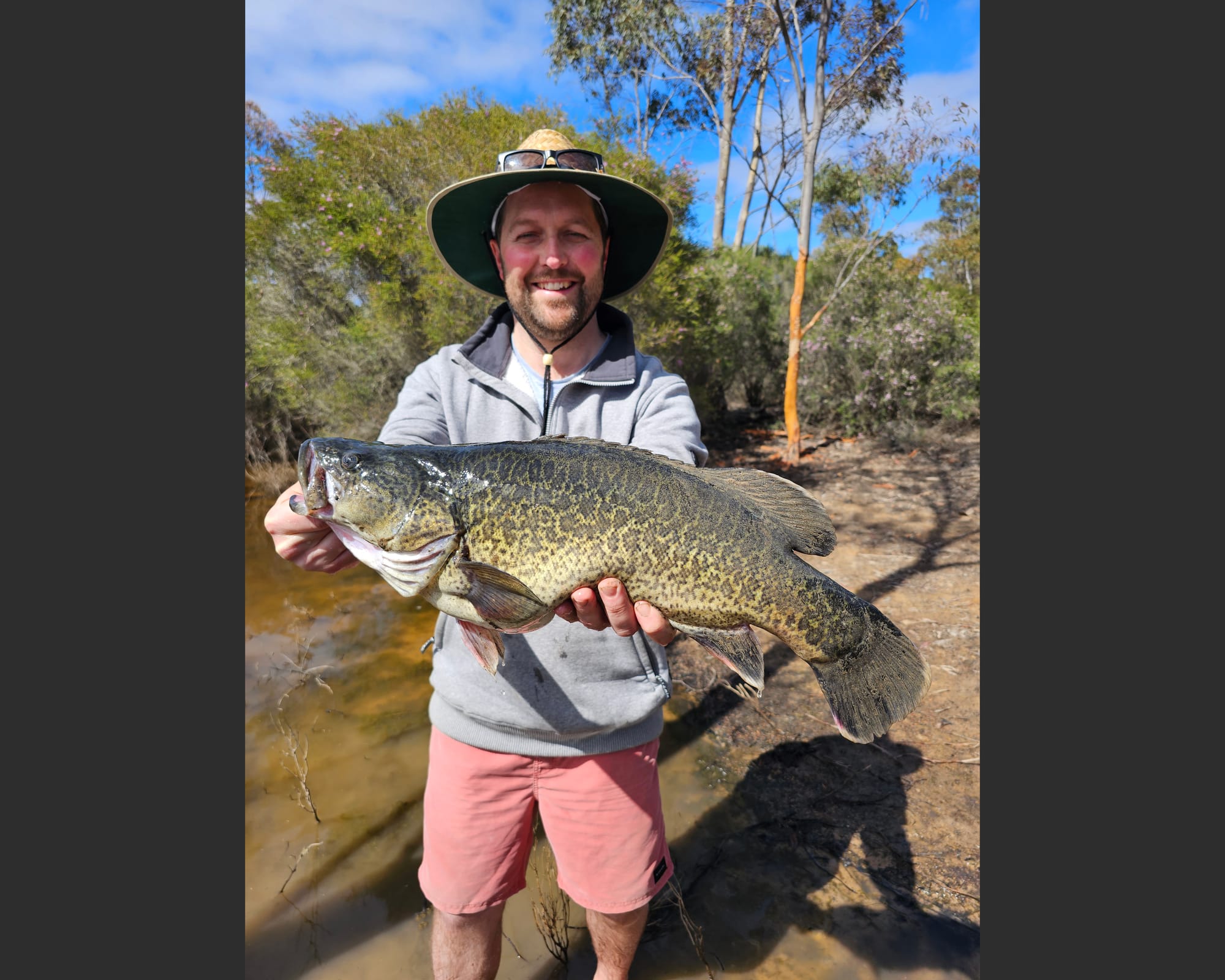Murray Cod Season Opens Today: Fishers to Flock North