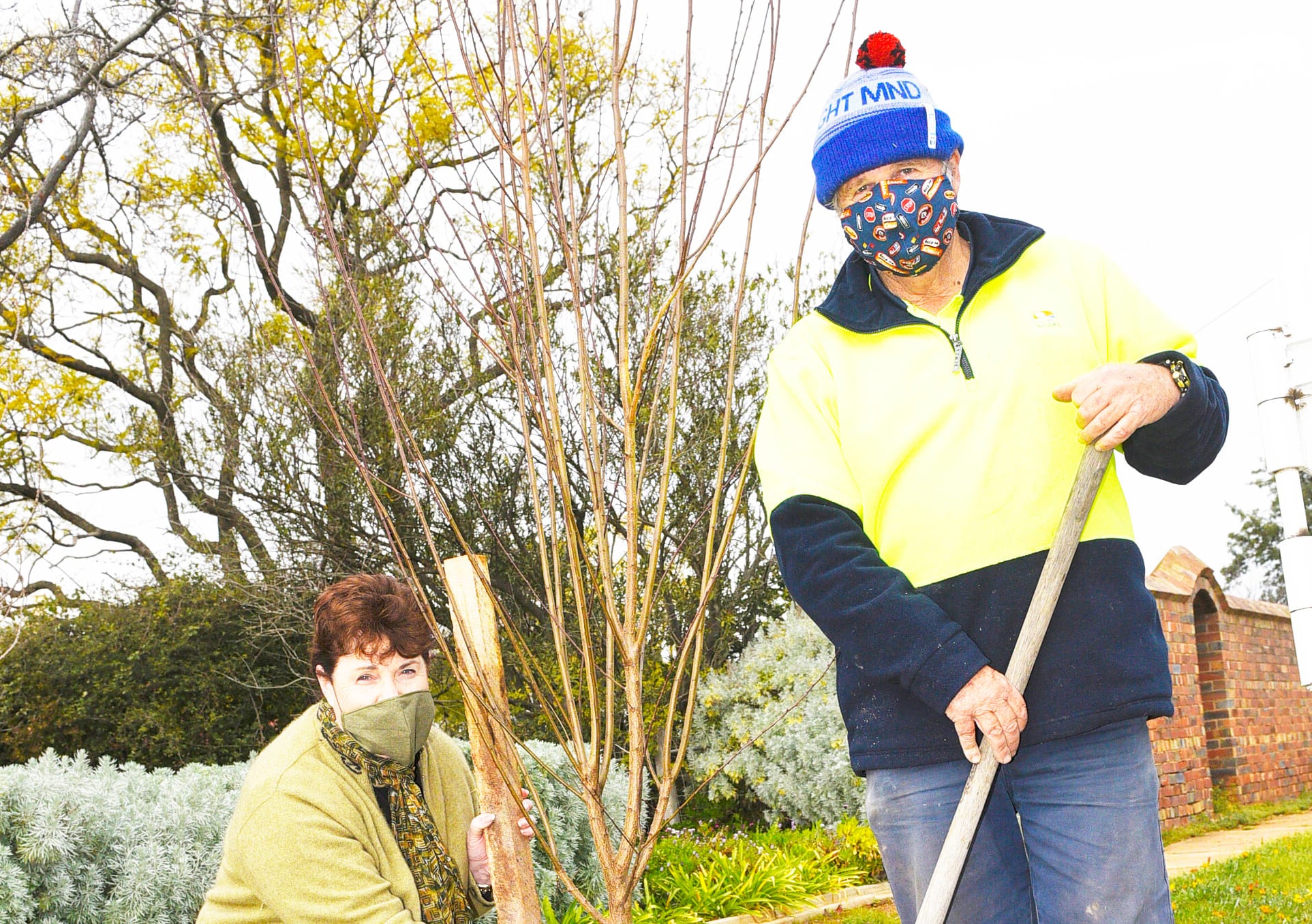 Progress Continues on Charlton Street Beautification
