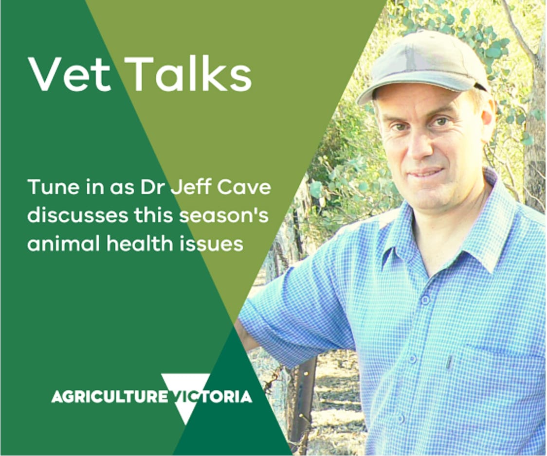 Livestock Health Advice Straight from the Vet