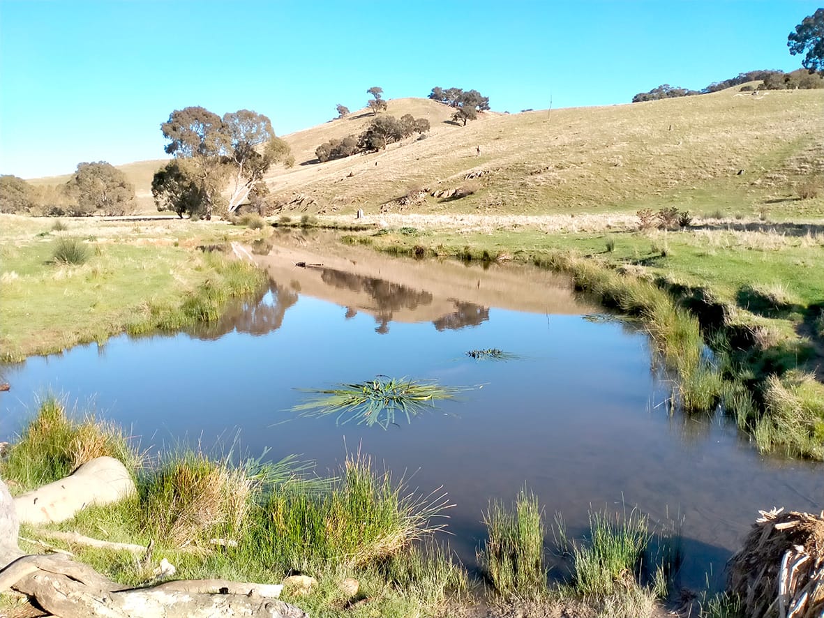 CMA on the Lookout for Natural Drought Refuges