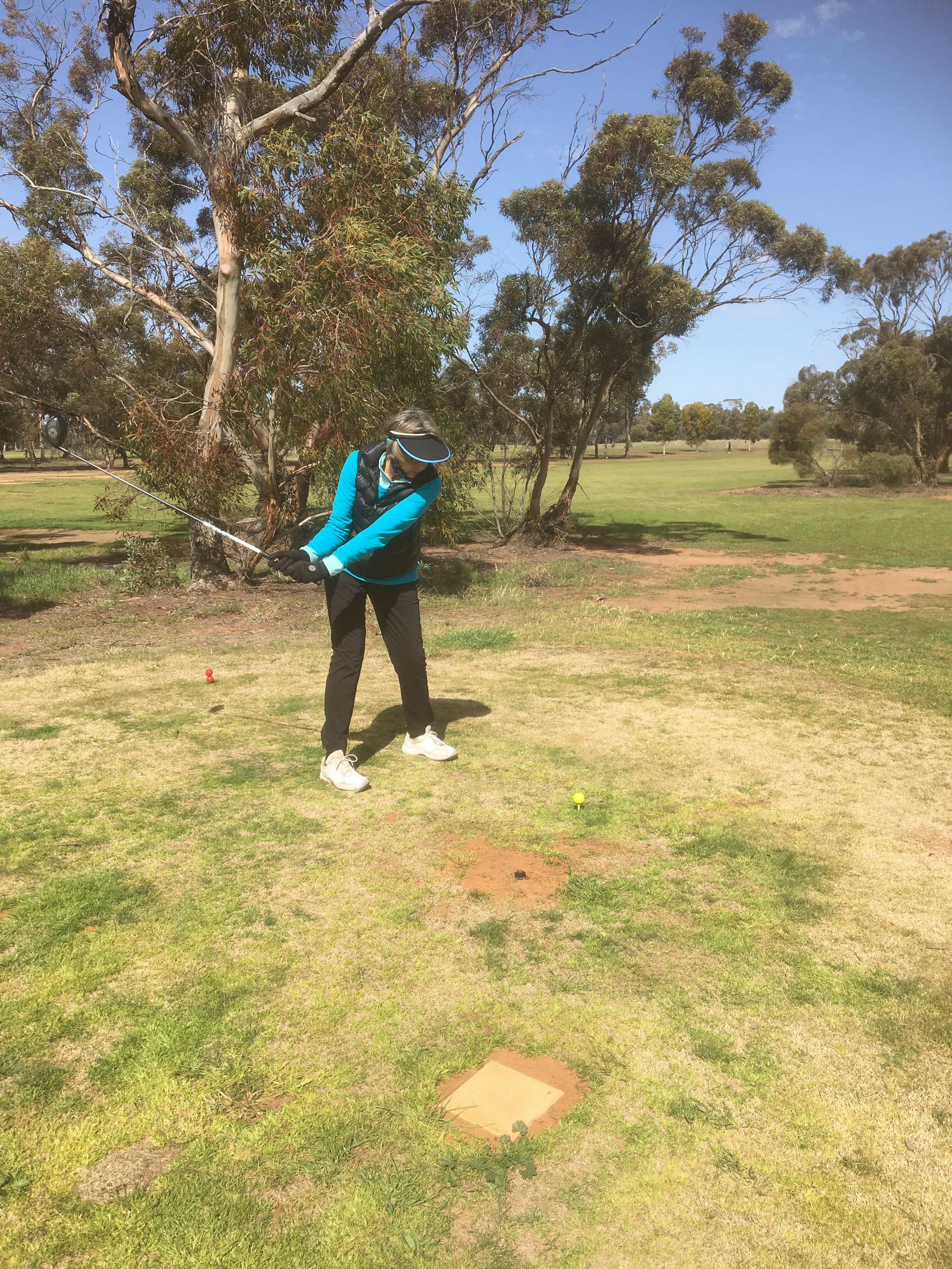 Donald Down the Middle