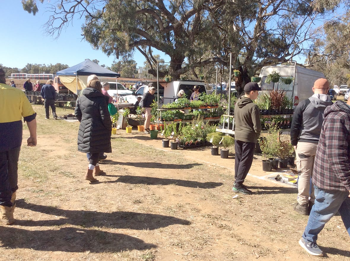 Charlton Lions Prepare for the 2024 Swap Meet