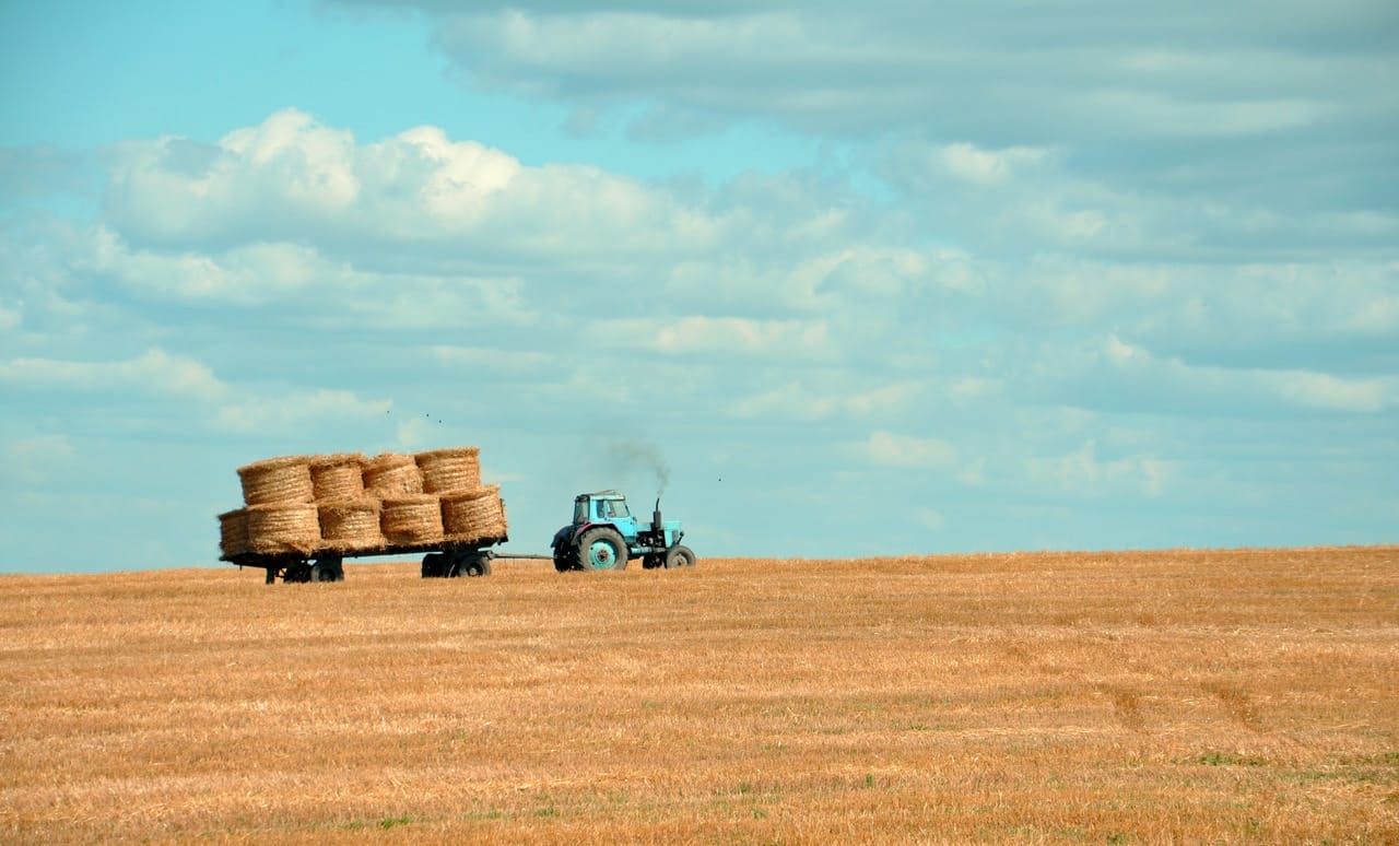 BCG Farm Expansion Day is Tuesday Next