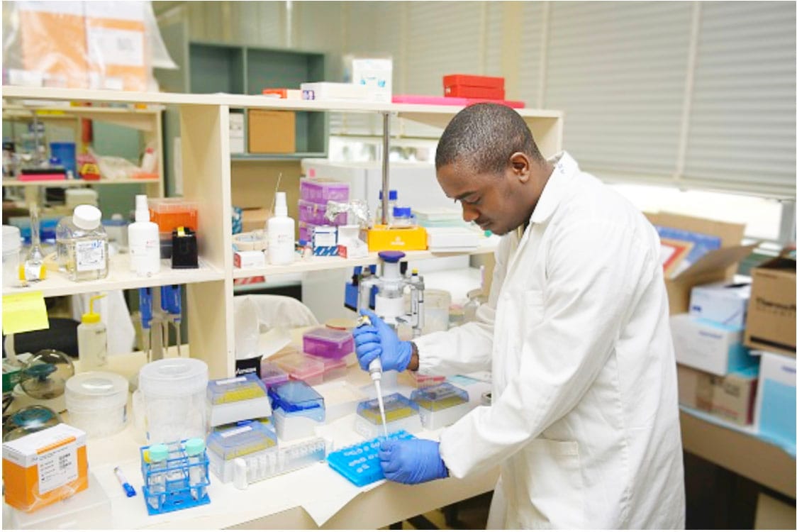 Safeguarding Seed at Grains Genebank