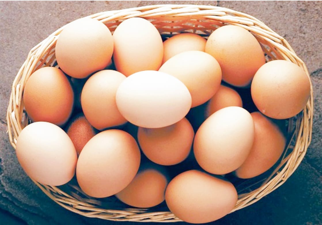 Steps for Egg Safety