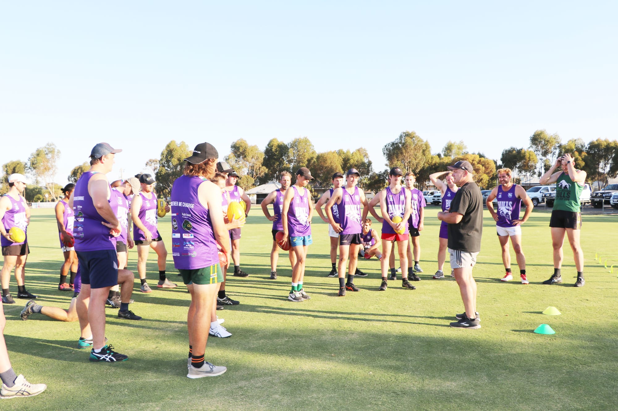 Bulls at Minyip Tomorrow