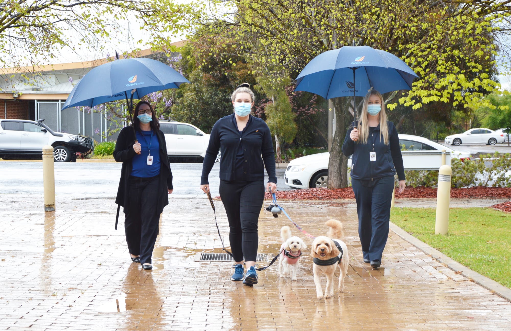 Walking for Water