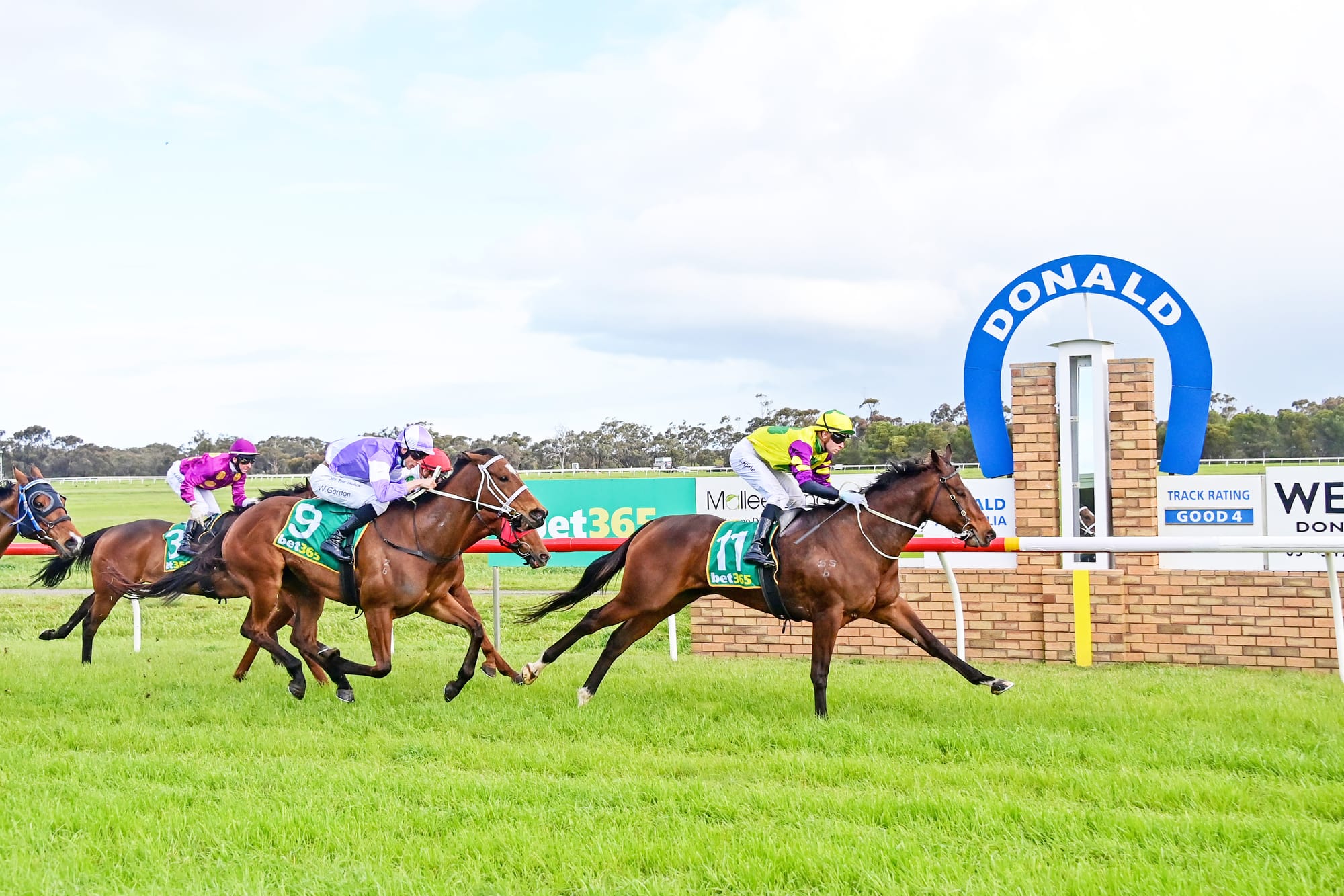 Donald Cup Welcomes Crowds
