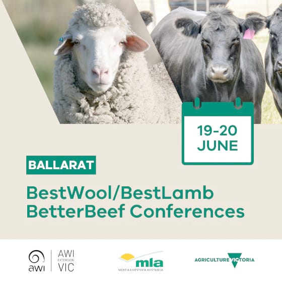 Early Bird Tickets: BestWool, BestLamb and BetterBeef Conference