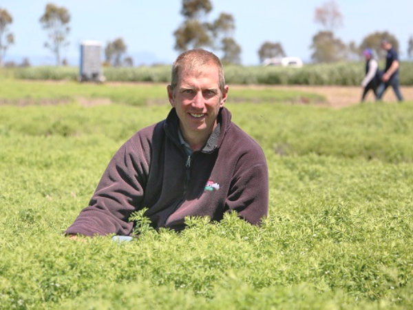 Look for Lentils with Good Variety Resistance