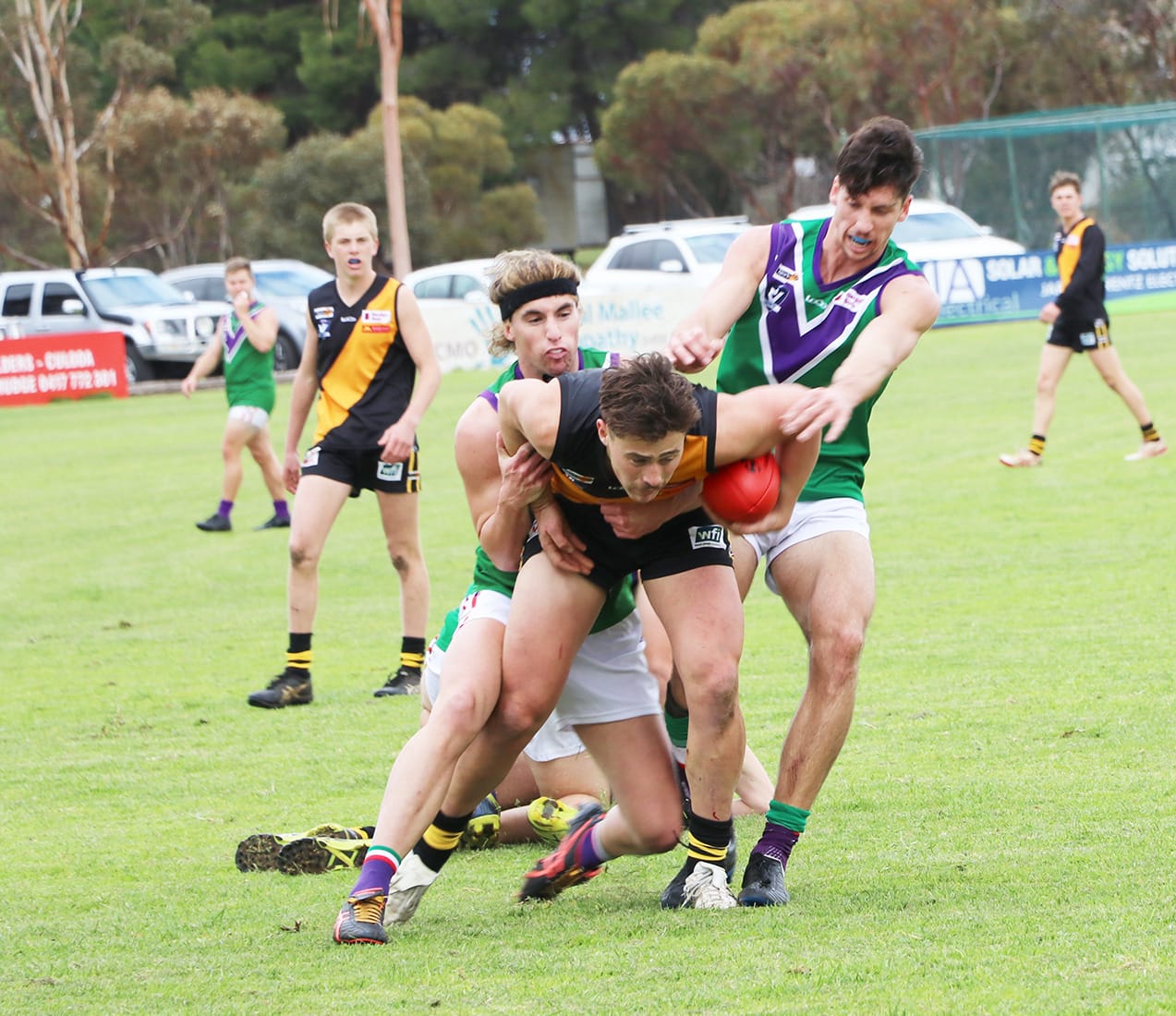 Magnificent Bulls Set Season Alight