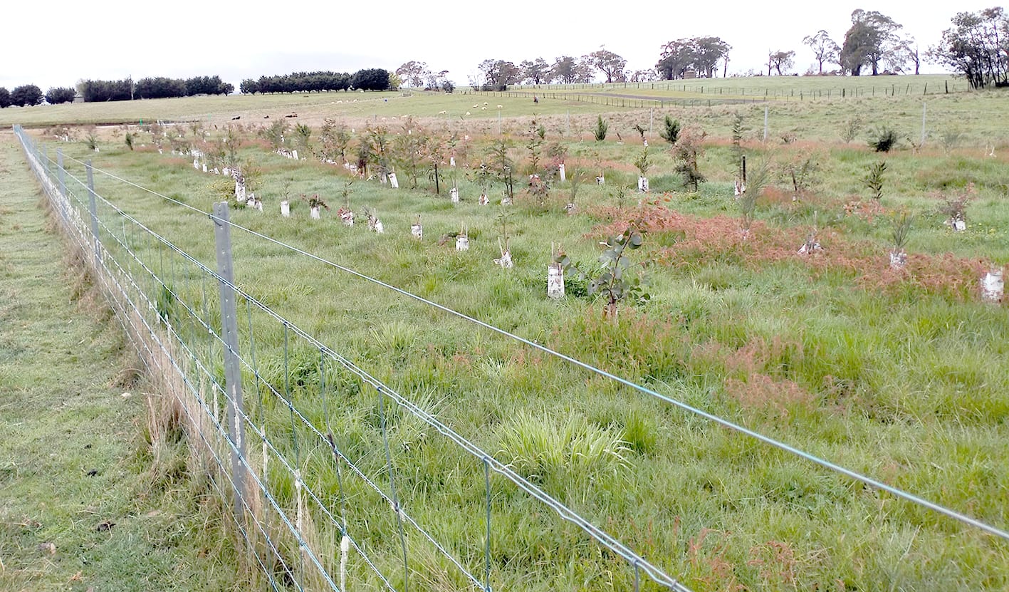 Growing Habitat for Net-Zero