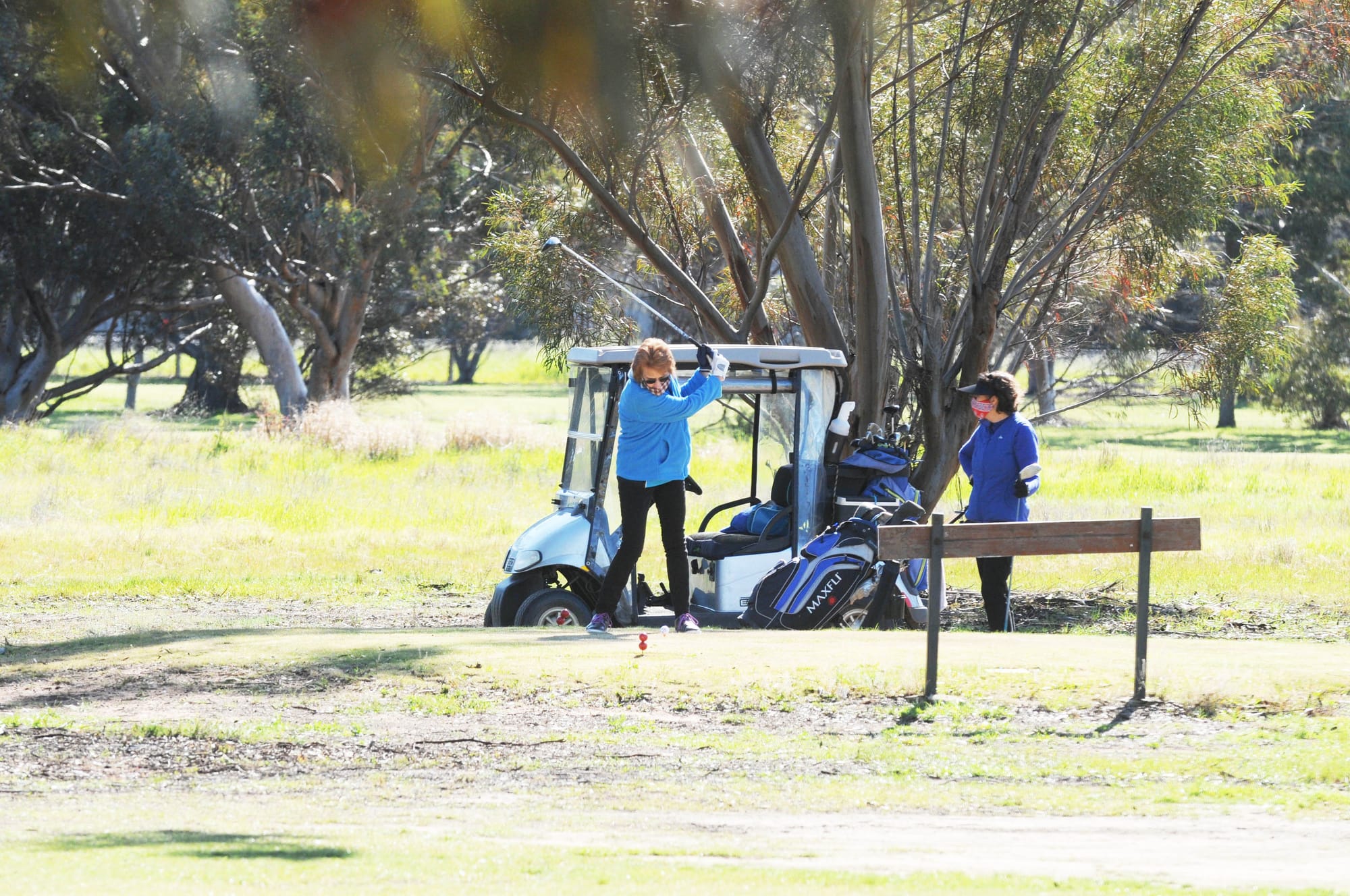 Donald Golf: Down the Middle?