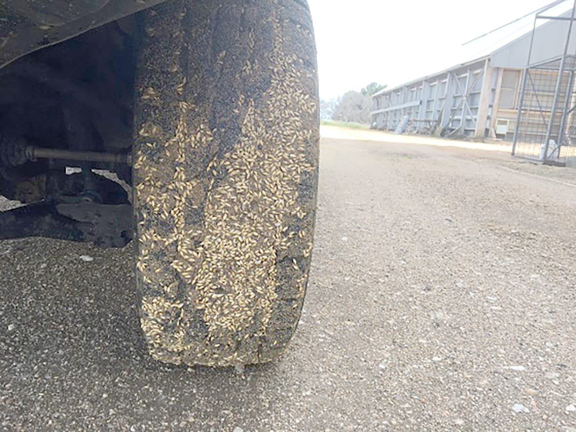 Biosecurity Matters for Contractors