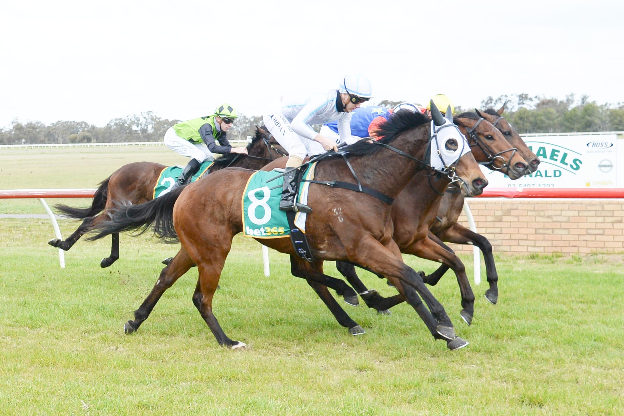 All the Action from Friday’s Donald Races: Triple Treat and a Dead Heat