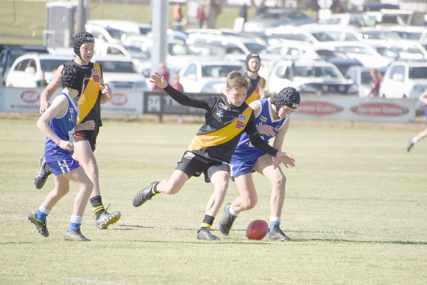 Tiger Cubs Get the Blues