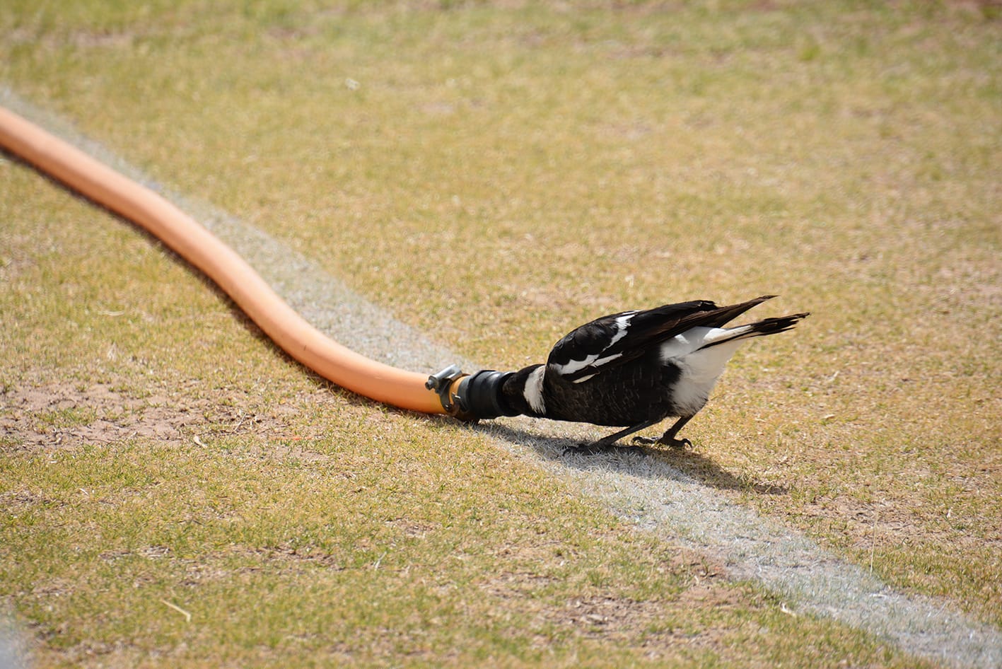 Never Miss an Opportunity