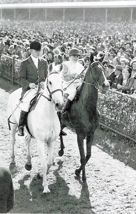 “Rimfire, You Beauty!” – Progress on Birchip Silo Art Project
