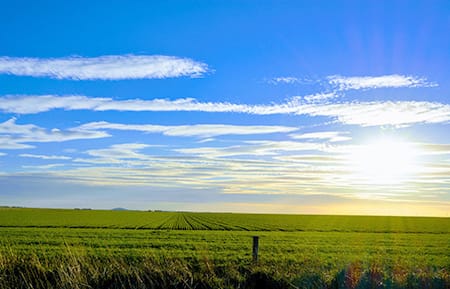 On-Farm Emissions Action Plan Pilot