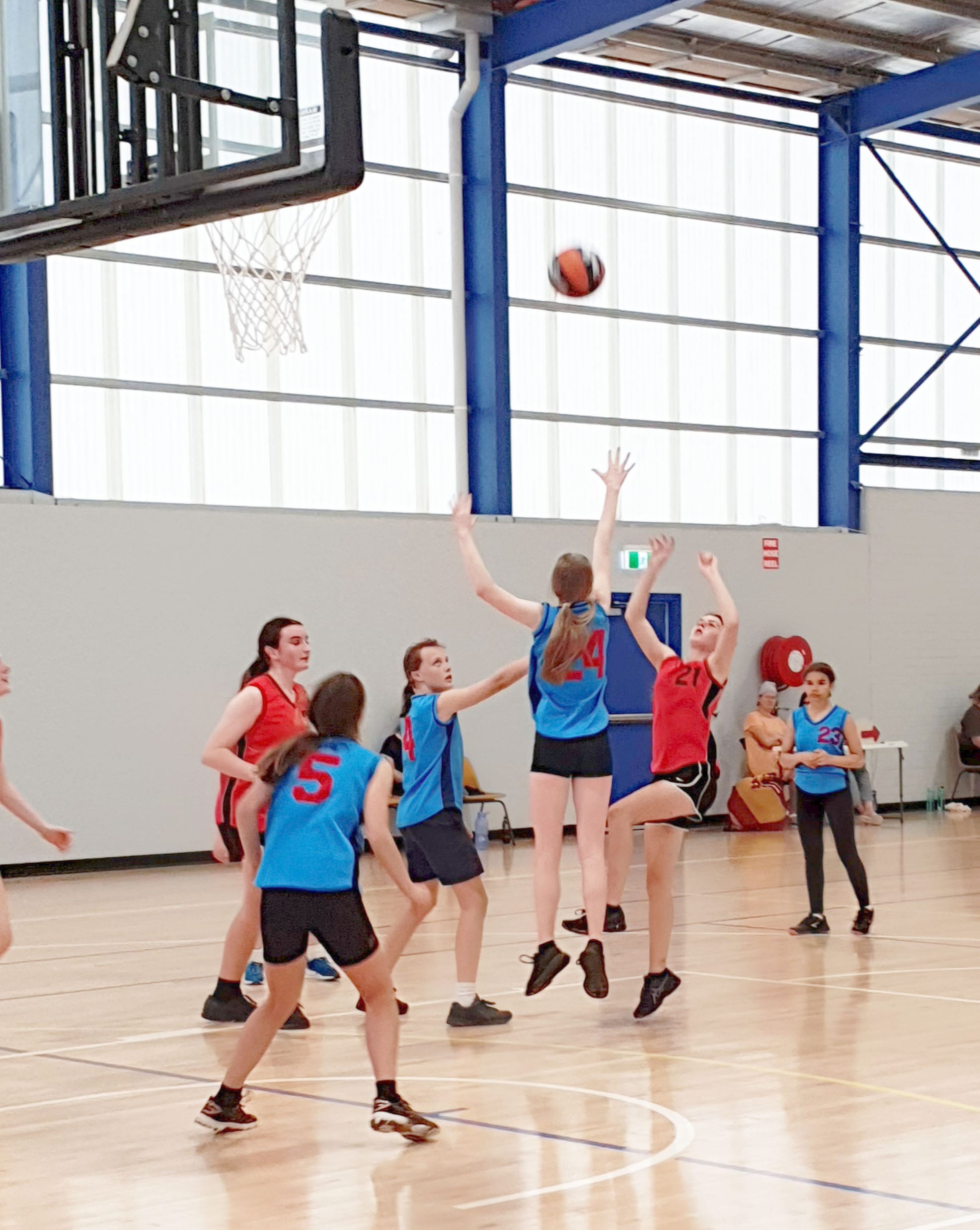 Basketball Is Back