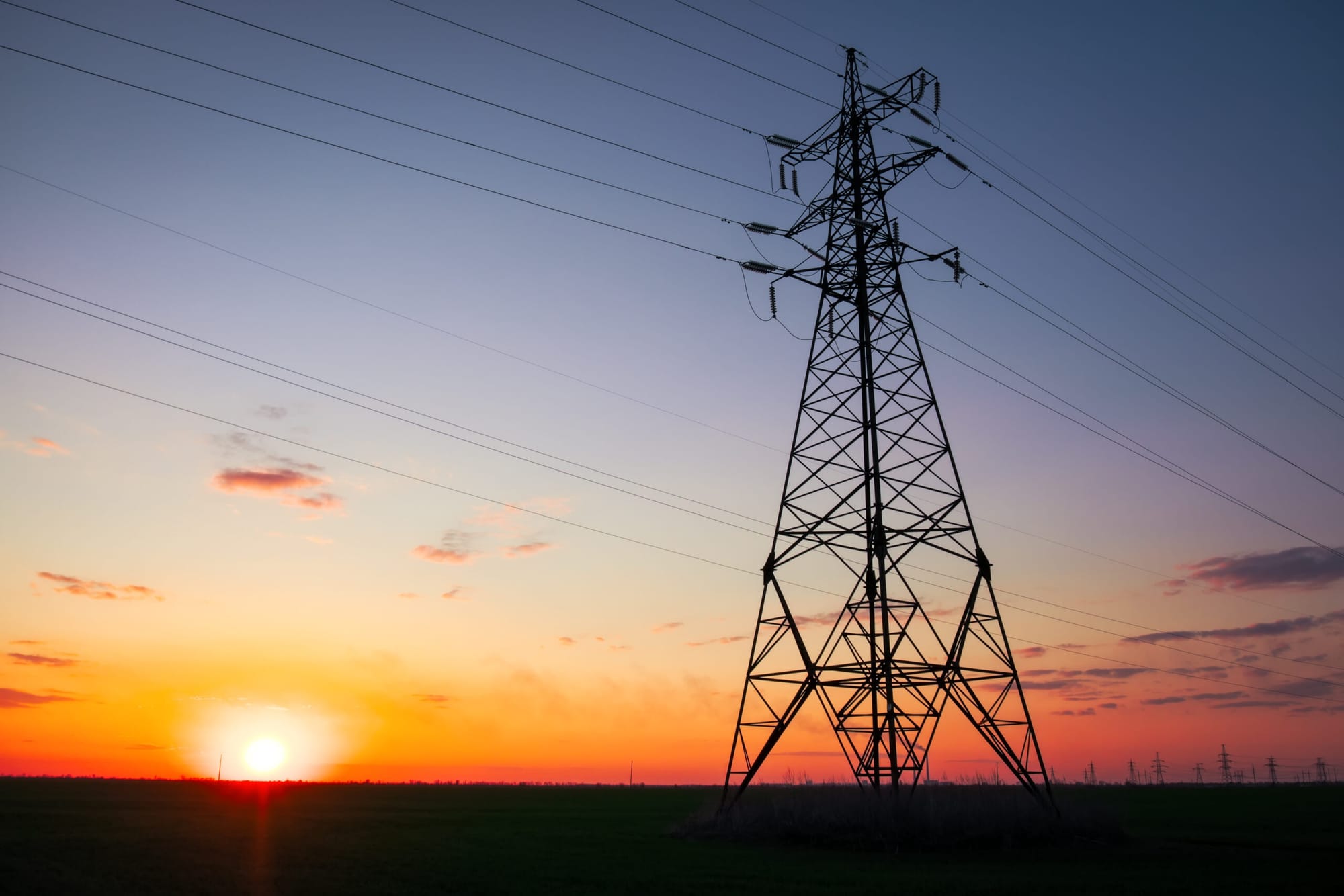 VFF Powers Up Petition to Halt Transmission Projects