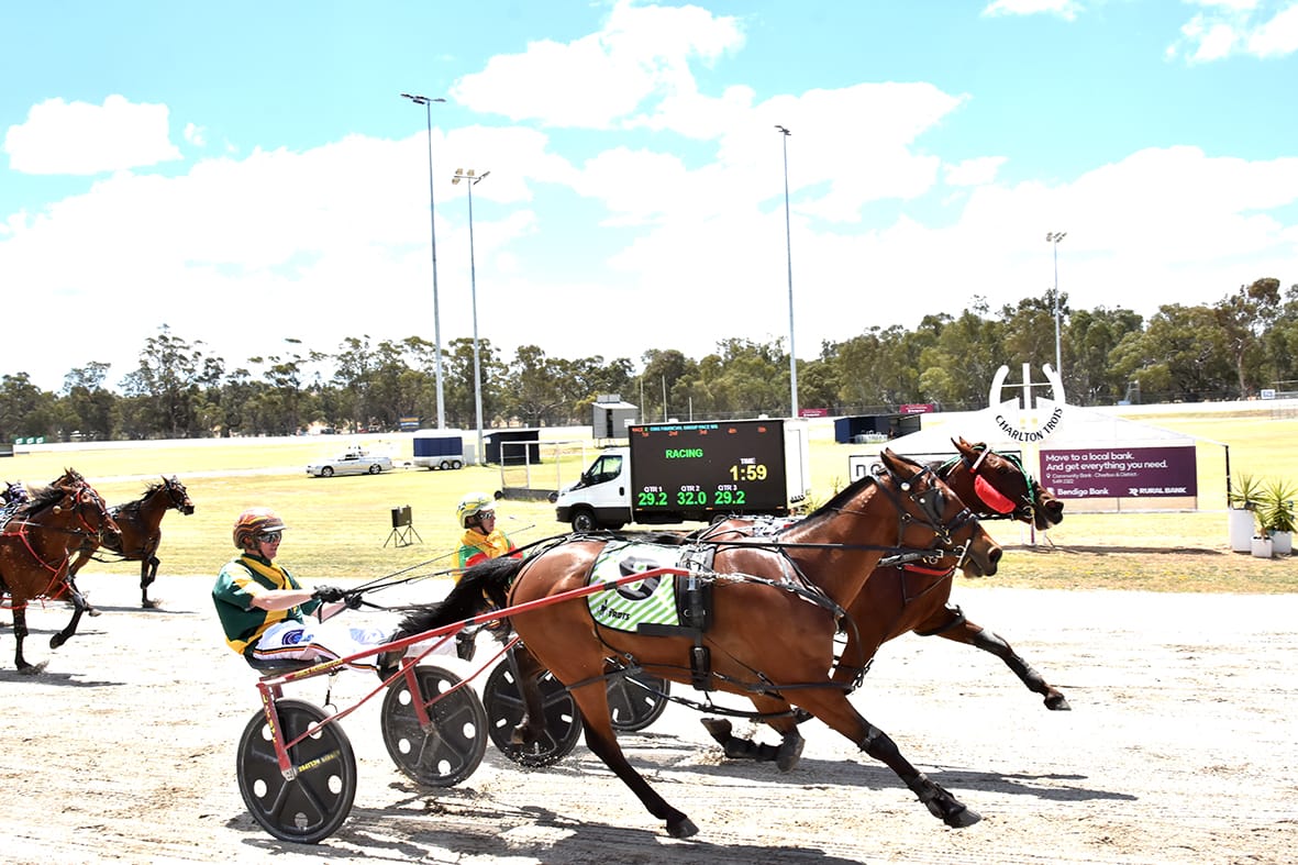 Competitive Harness Racing at Charlton