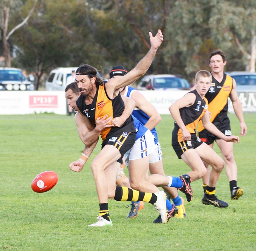 “D” Day for Royal Blues and Tigers