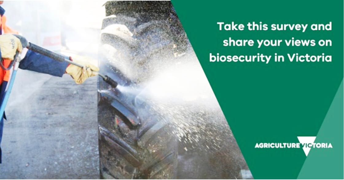 Have Your Say to Shape Victoria’s Biosecurity