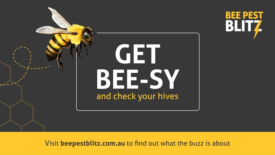 It’s Time for a Honey Bee Check-up