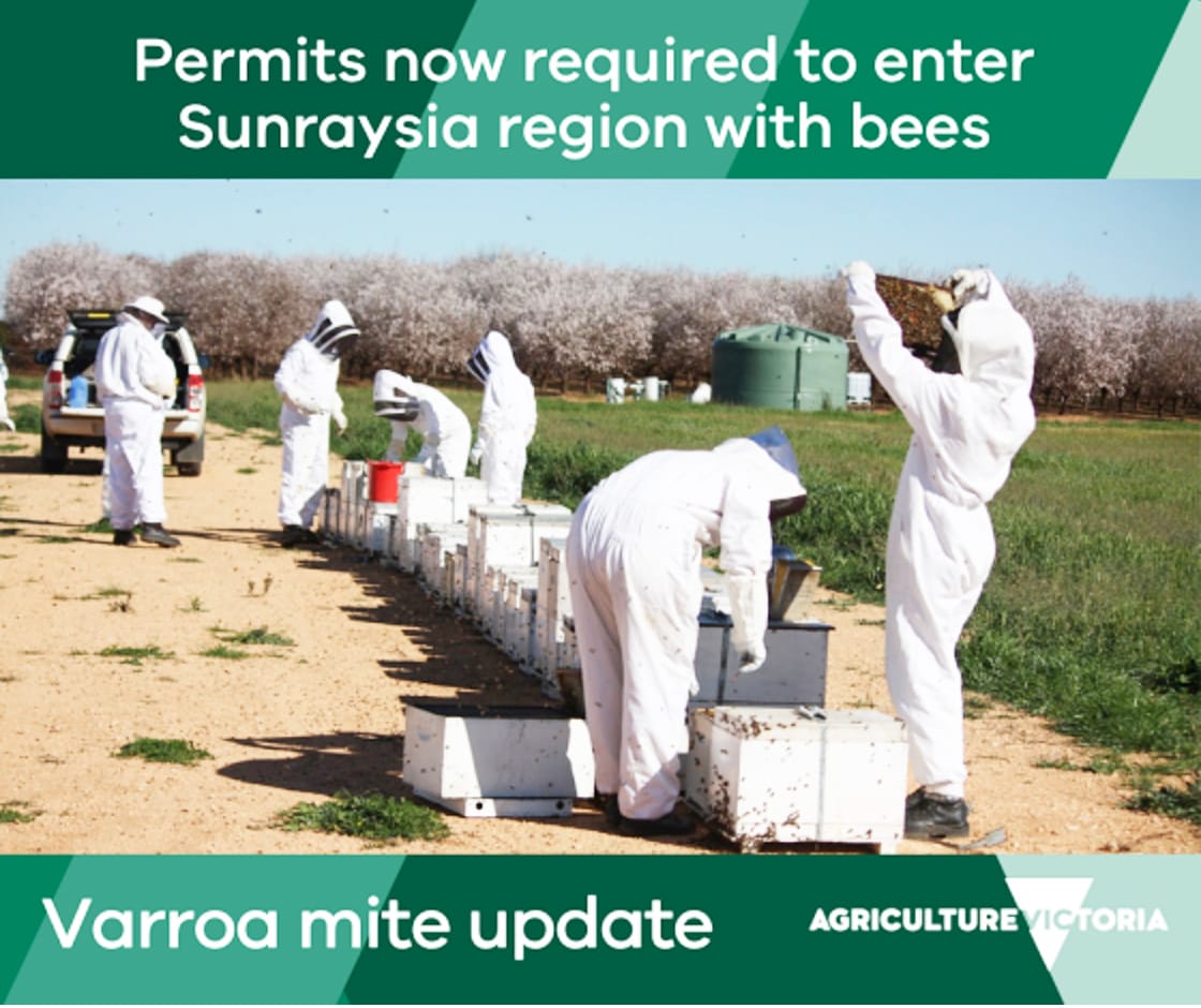 Safeguards in Place to Protect Victoria’s Bees