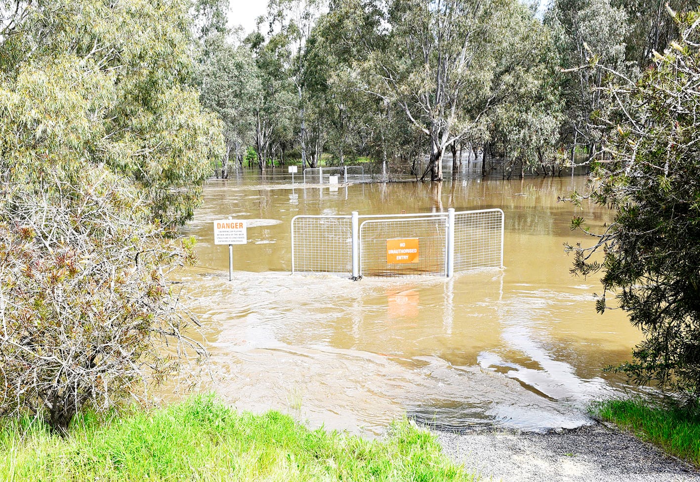Avoca Rising