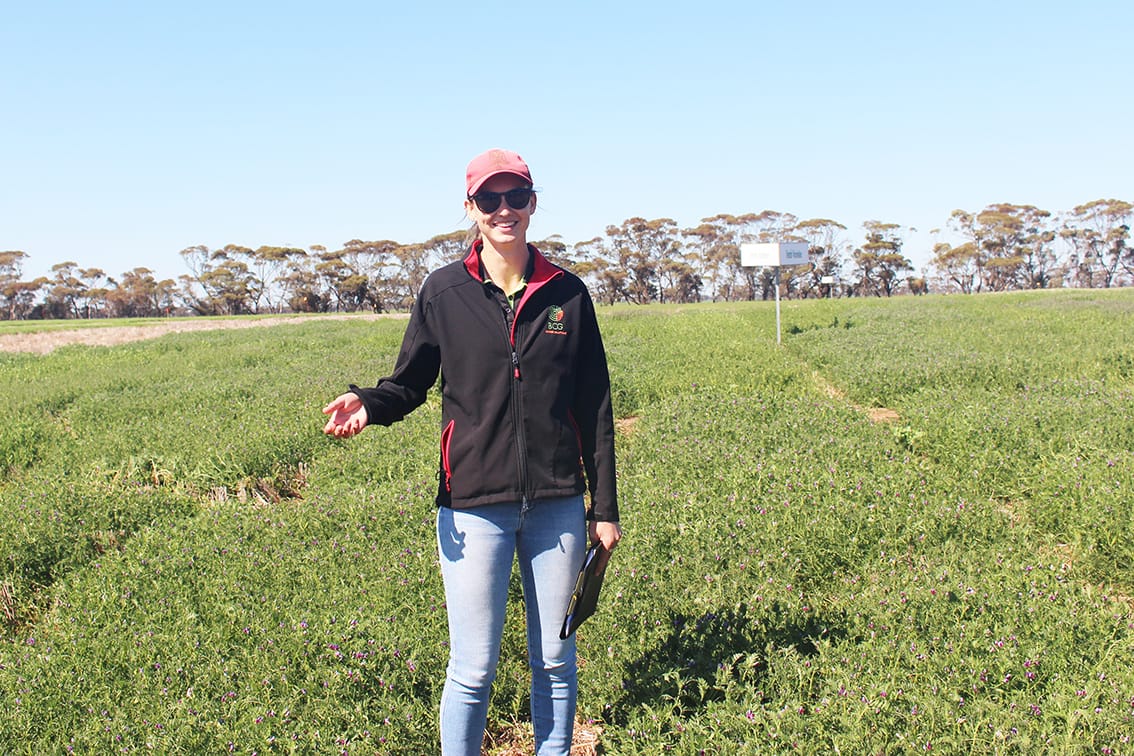 BCG Researchers Eager to Connect at Main Field Day