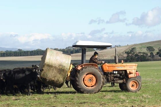 Are You Feeding Your Livestock Sufficiently?