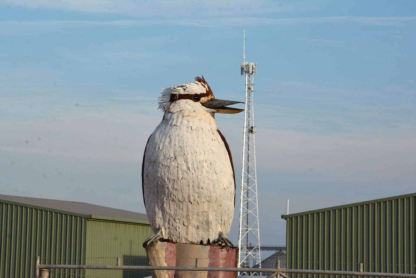 “Kooka” Has a New Mate