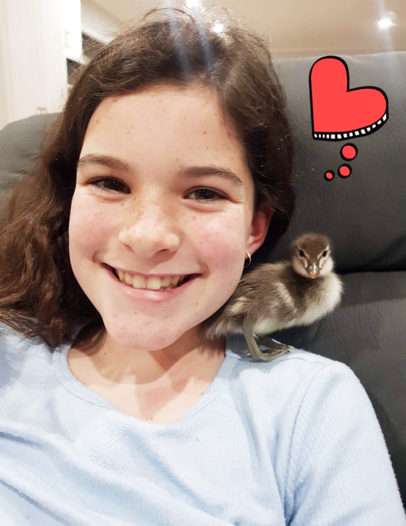 Milla Becomes “Mother Duck”