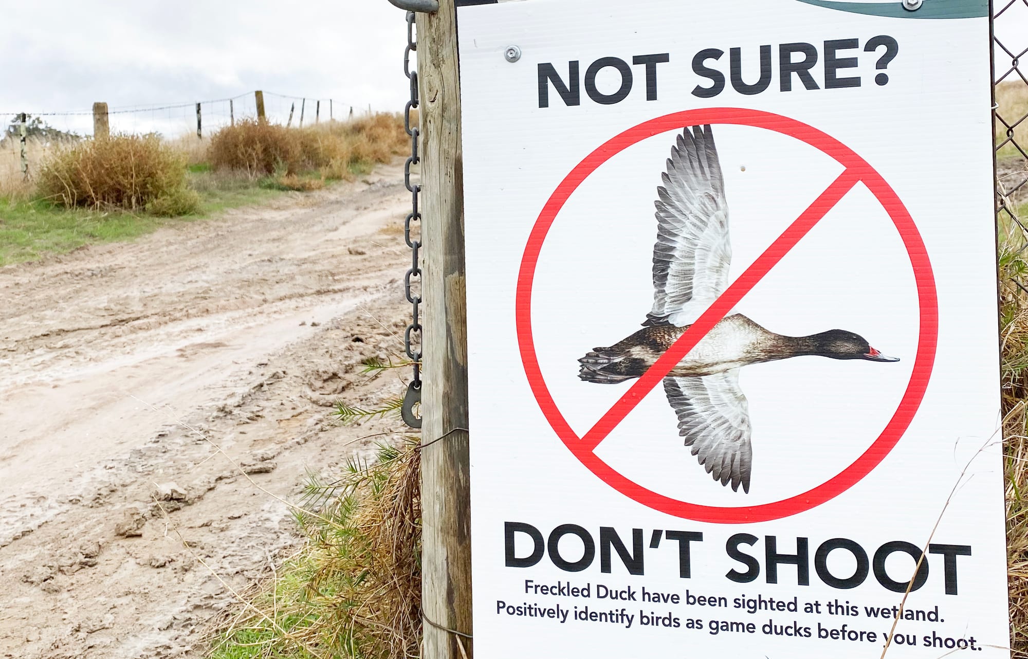 Politicising Duck Hunting