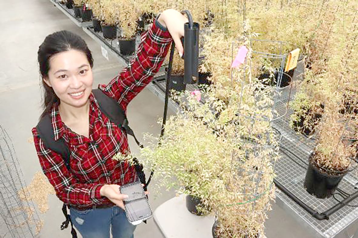 The CropSafe Program Providing Biosecurity Service