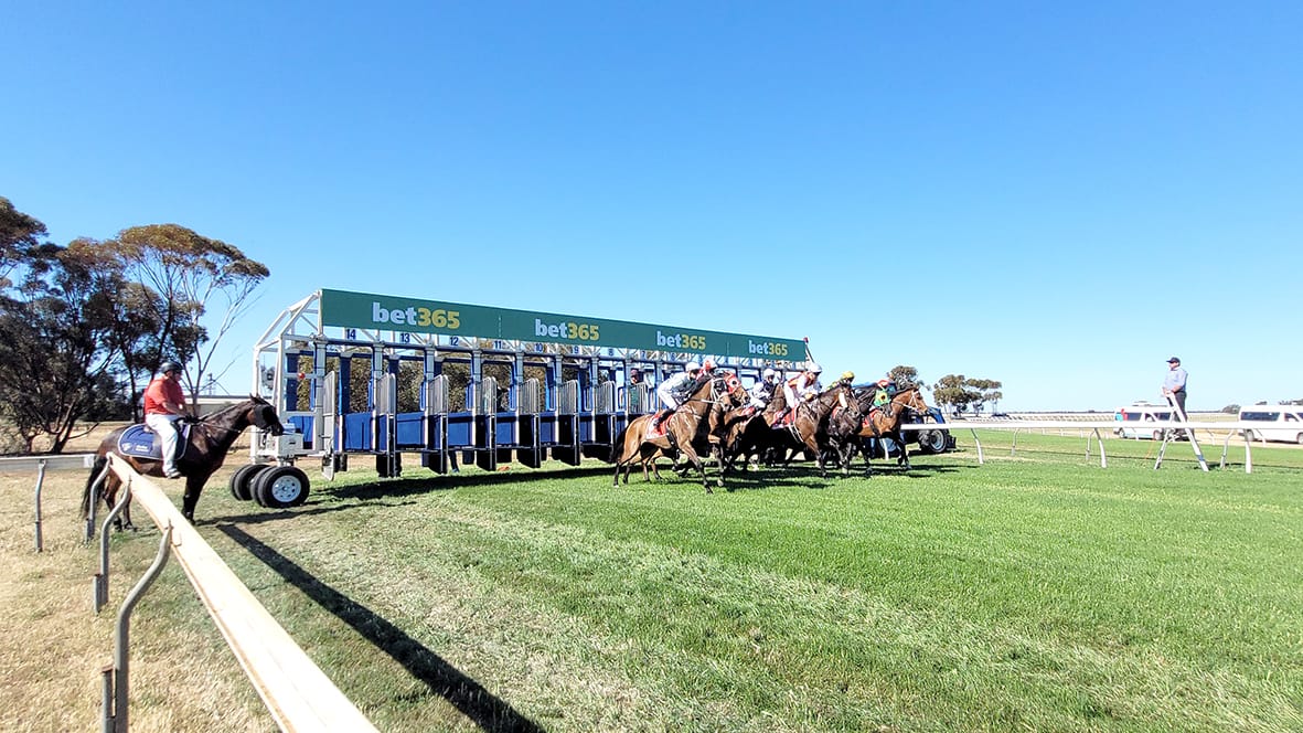 Kokoro Wins Mt. Wycheproof Cup