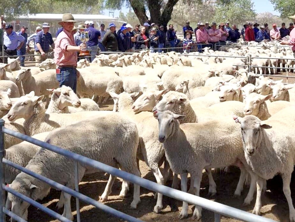 Friday, October 31, 2025