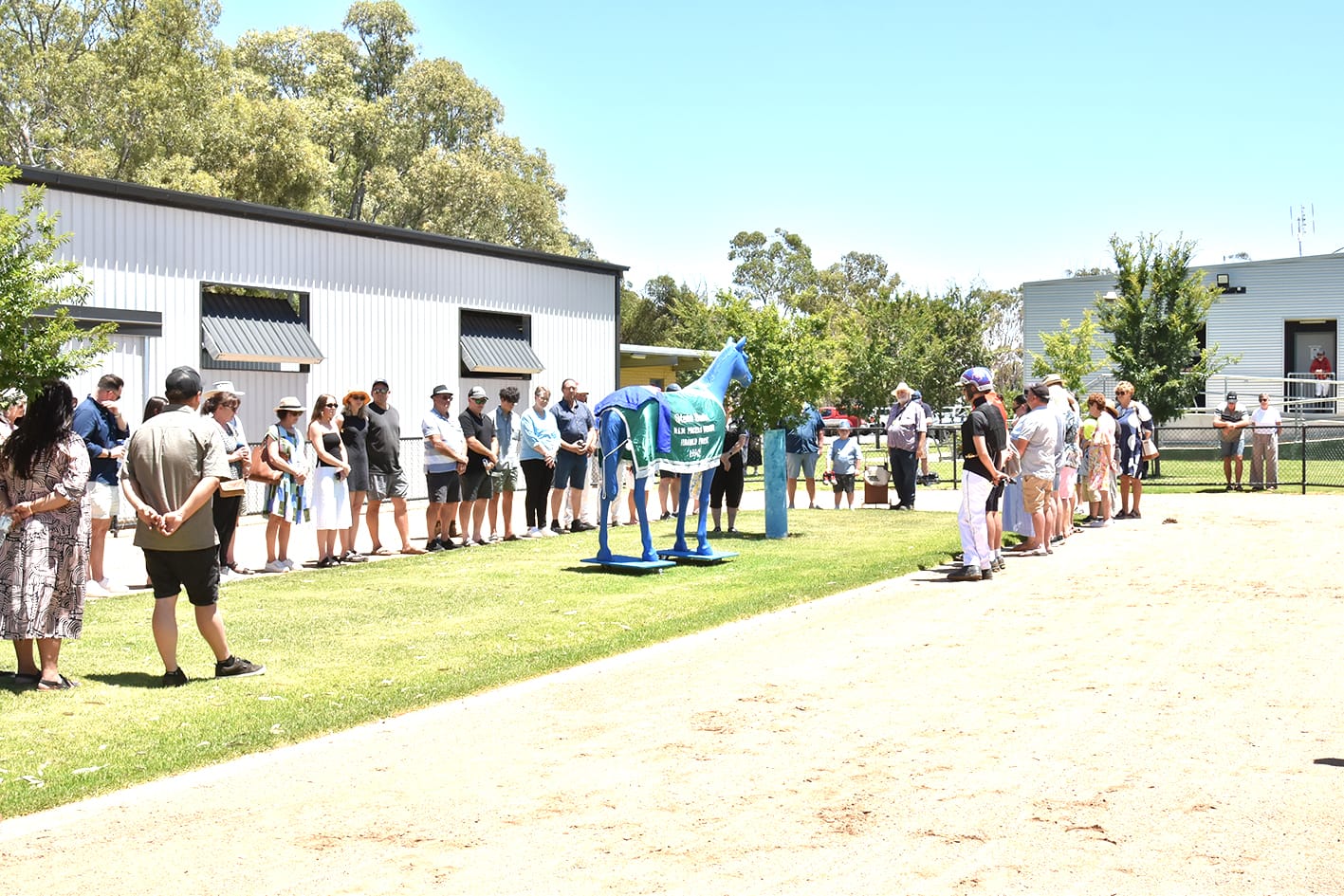 Harness Racing Action