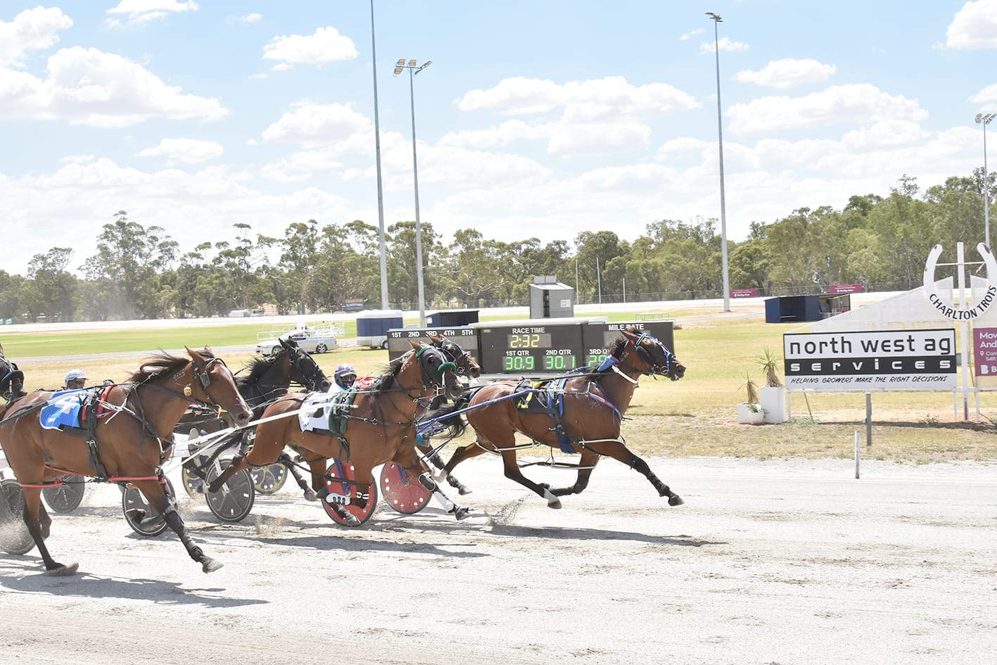 Team Teal at Charlton Trots
