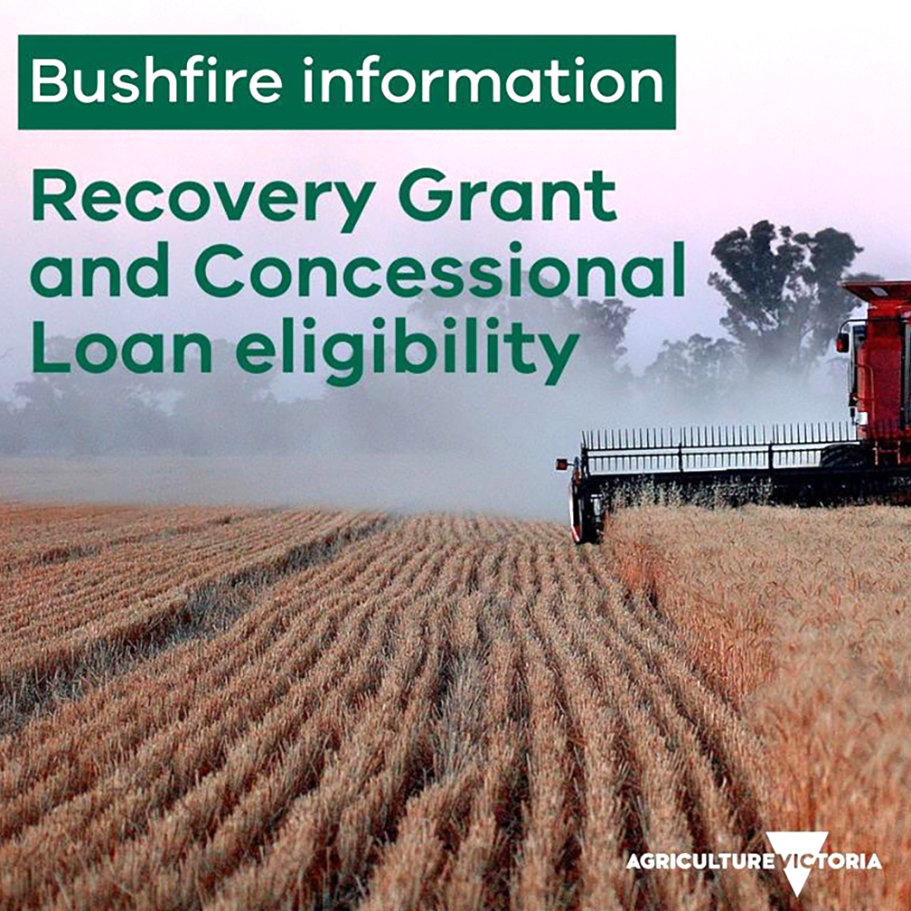 Bushfire Support