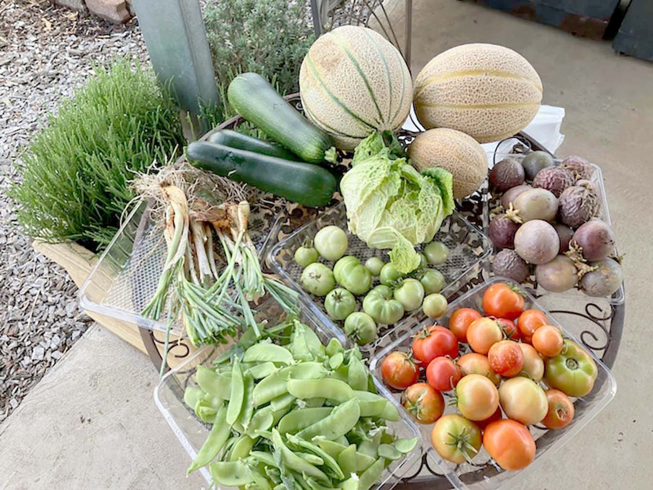 The Last of Summer’s Bounty