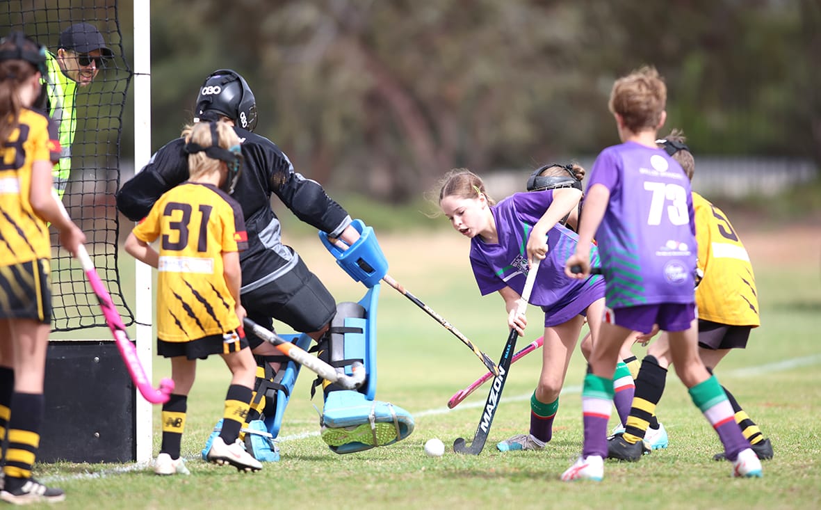 Tigers versus Bulls Hockey