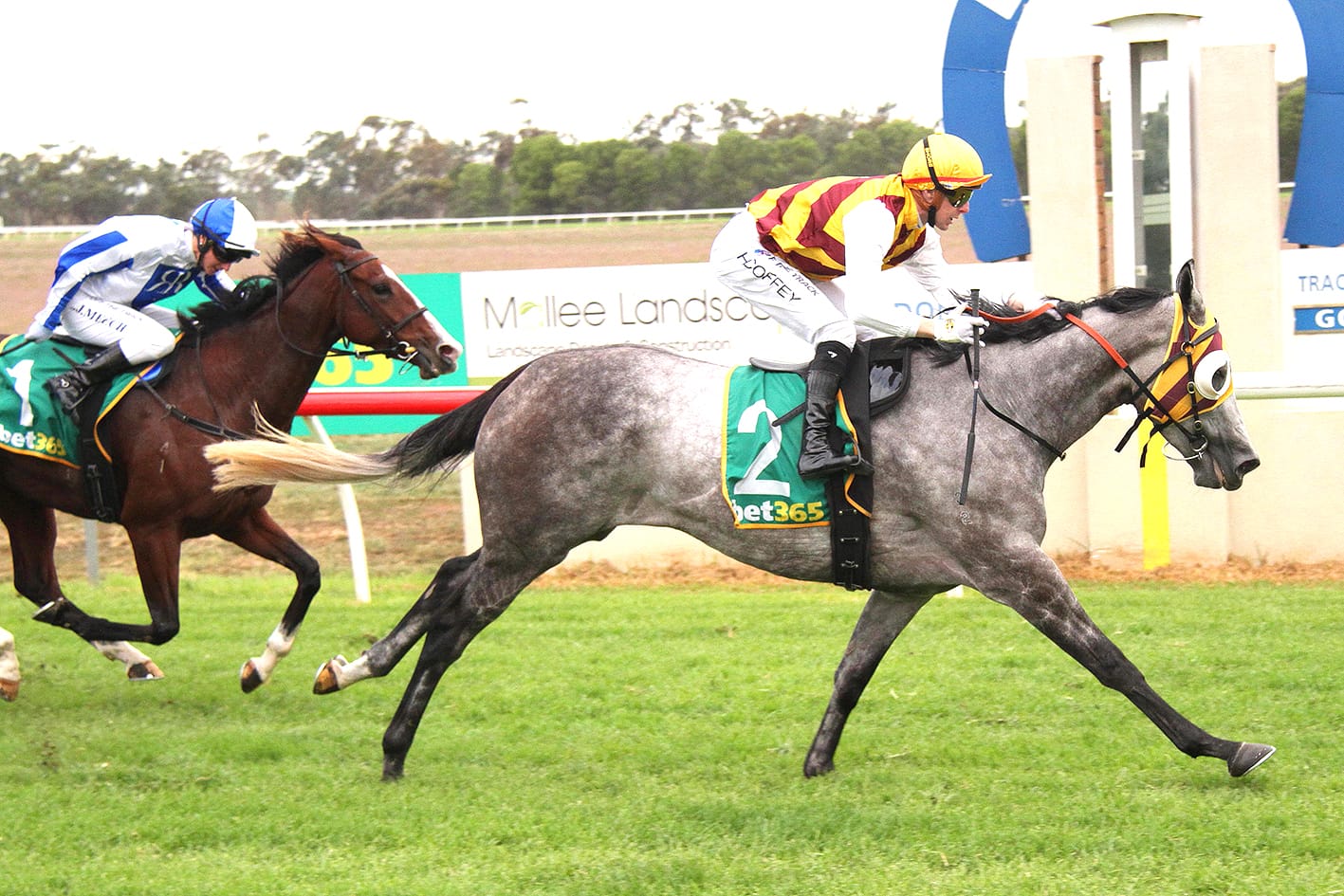 McEvoy Stable’s Double at Donald