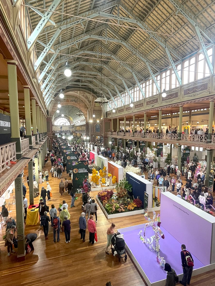 Exploring the Flower and Garden Show