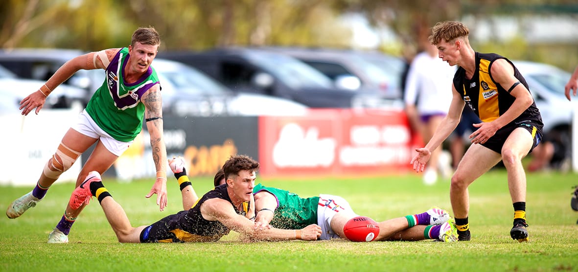 Tigers’ Seniors Tangle with Bulls