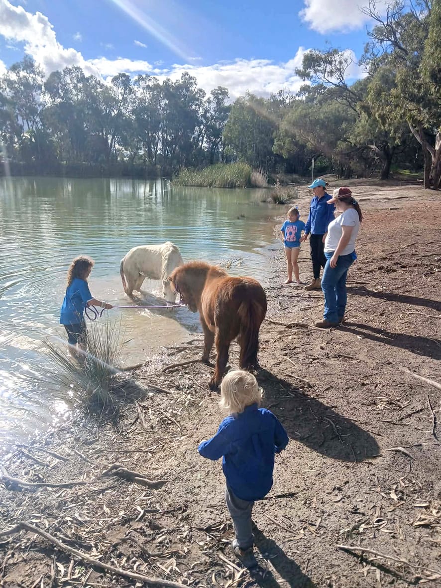 Do it for Dolly at Donald Pony Club