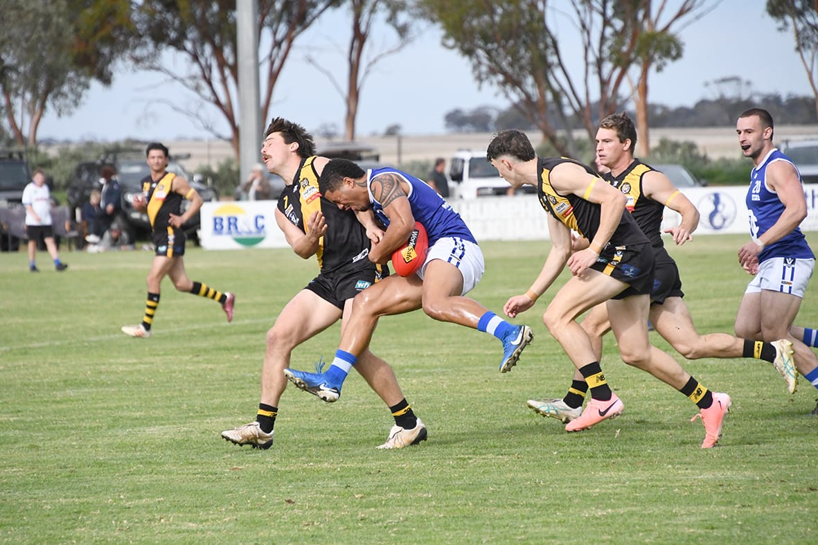Tigers Dominate Donald